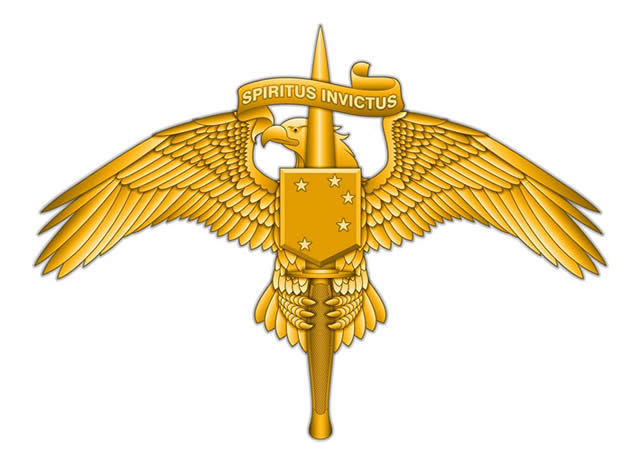 米海兵隊総司令官 金色鷲の紋章付き 米海兵隊特殊部隊 MARSOC の制服用徽章のデザインが決定 | さばなび