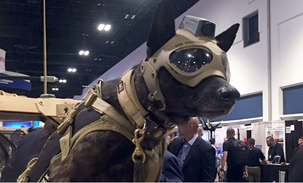 U.S. MARINES ミリタリー　犬の像（軍帽着用） f7576889da60e78f26fd52b47b473f